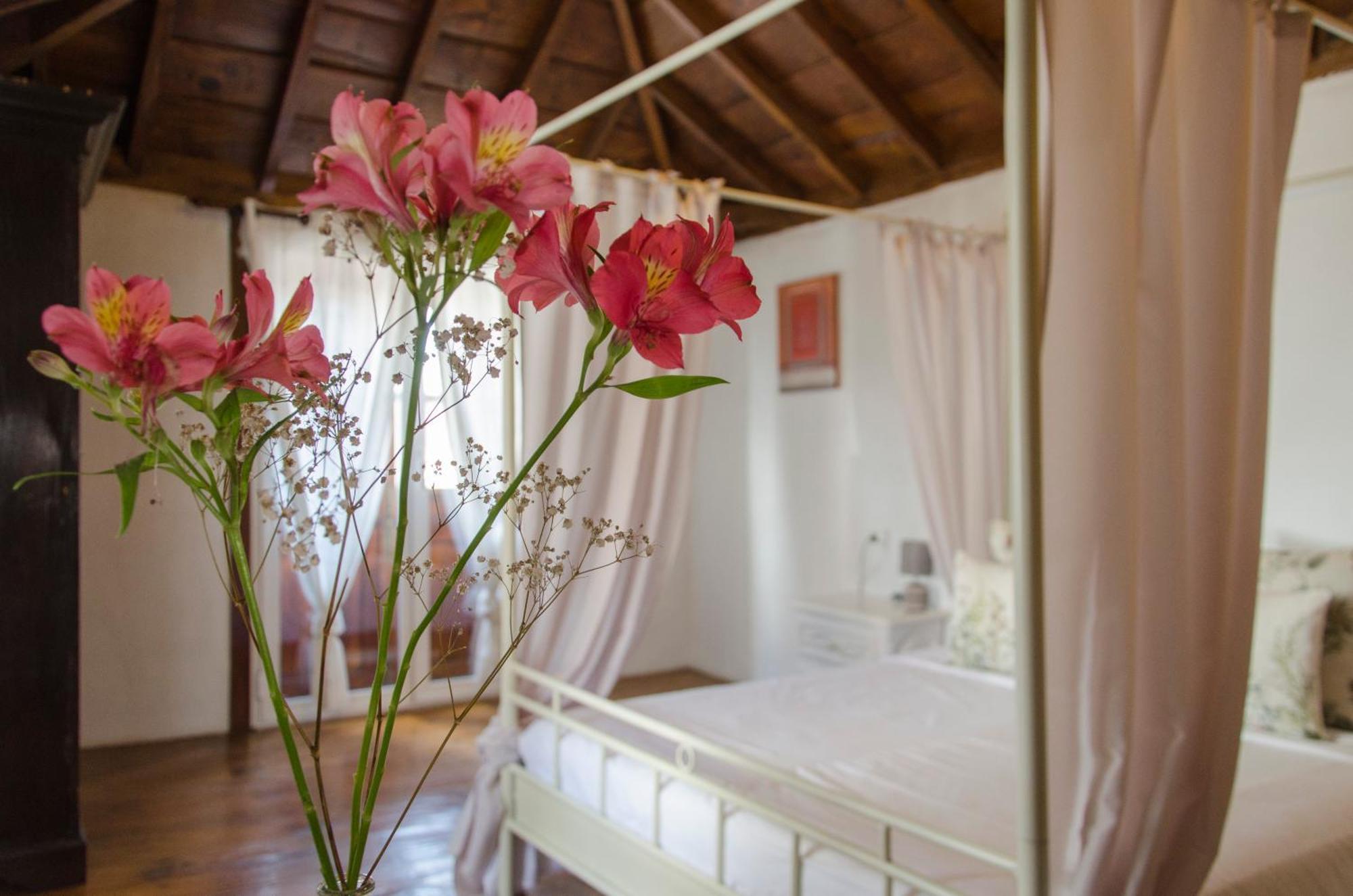 Hotel Rural Casona Santo Domingo Güimar Eksteriør billede